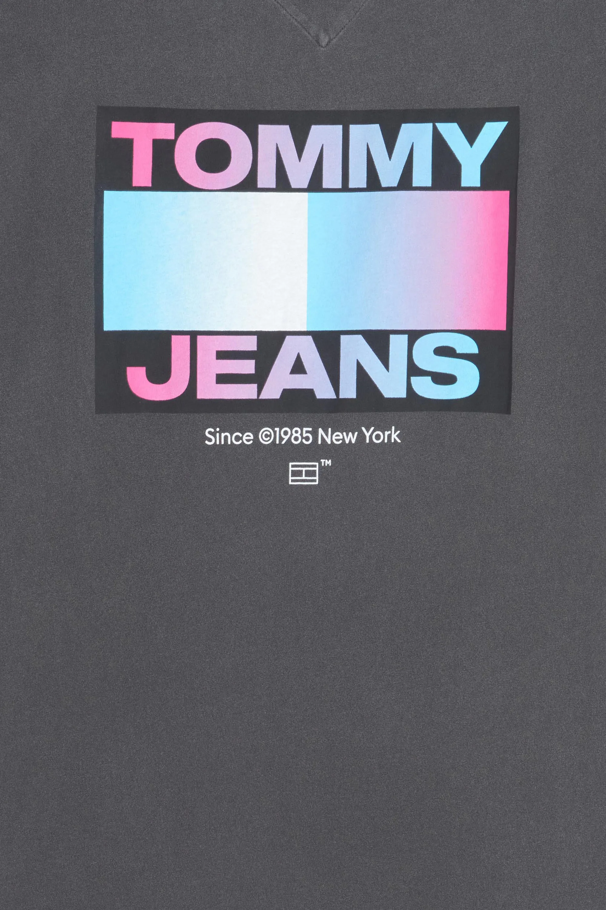 TOMMY JEANS T-shirt TJM REG DNA GRAPHIC Gris