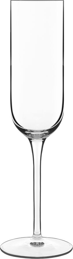 Thuesen Jensen Champagneglas Prosecco Vinalia 21 cl 6 stk. Klar