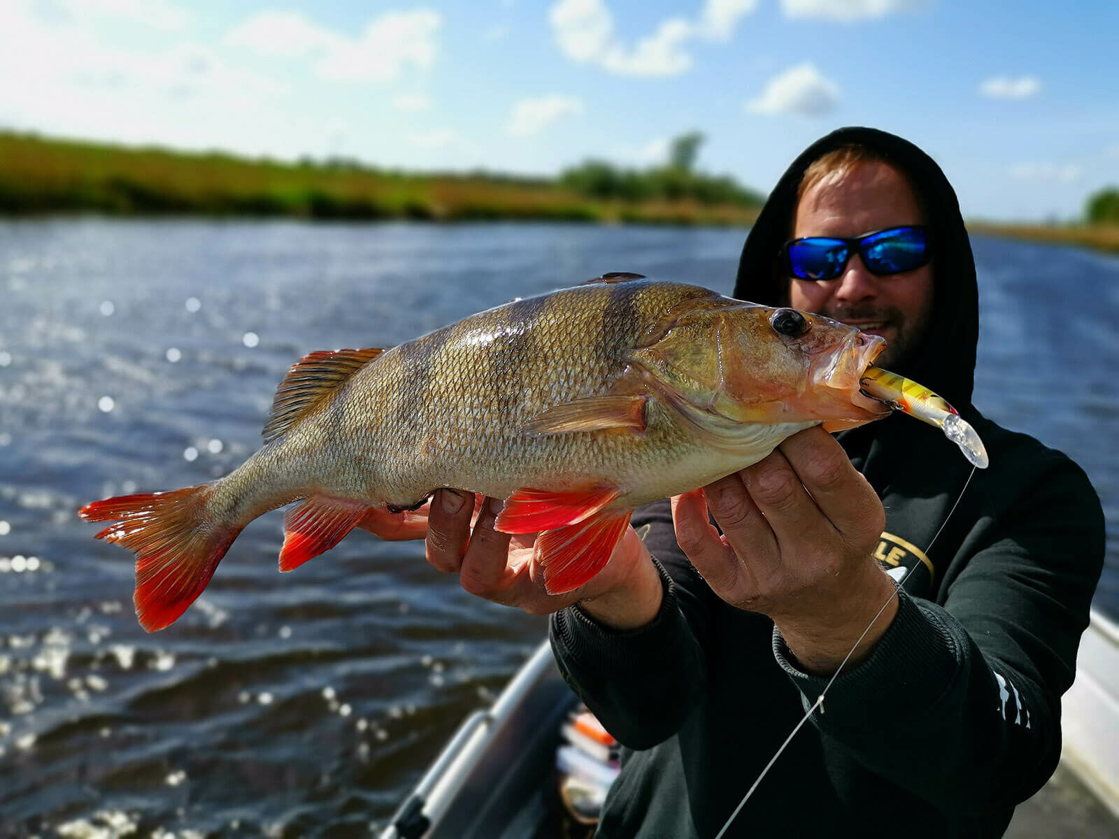 Laydown Minnow Deep Just Wakasagi (Nories)