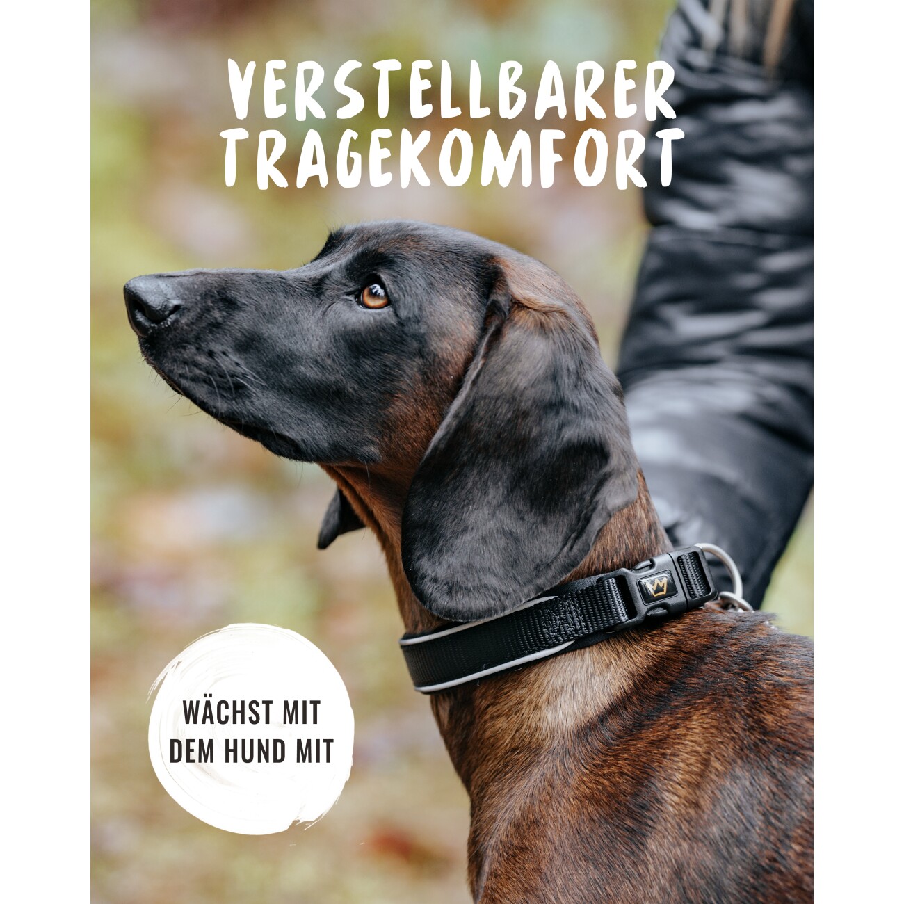 Rudelkönig Hundehalsband - Gepolstertes Halsband Paola schwarz 25 cm, 30 cm