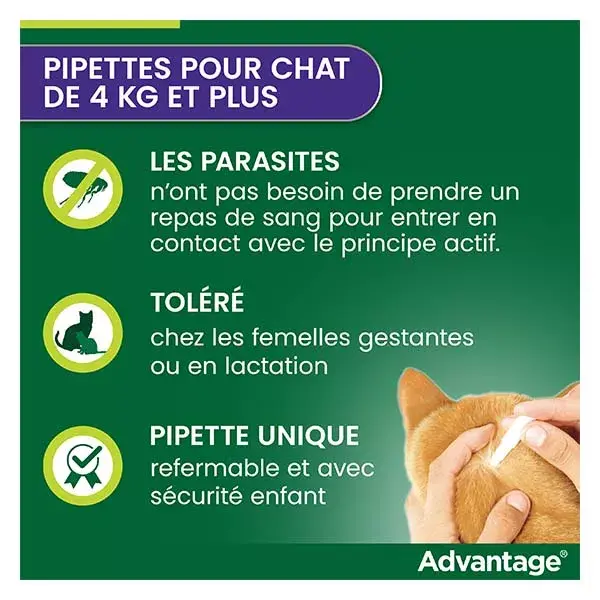 Advantage Solução Antipulgas para Gatos e Coelhos +4kg 6 pipetas