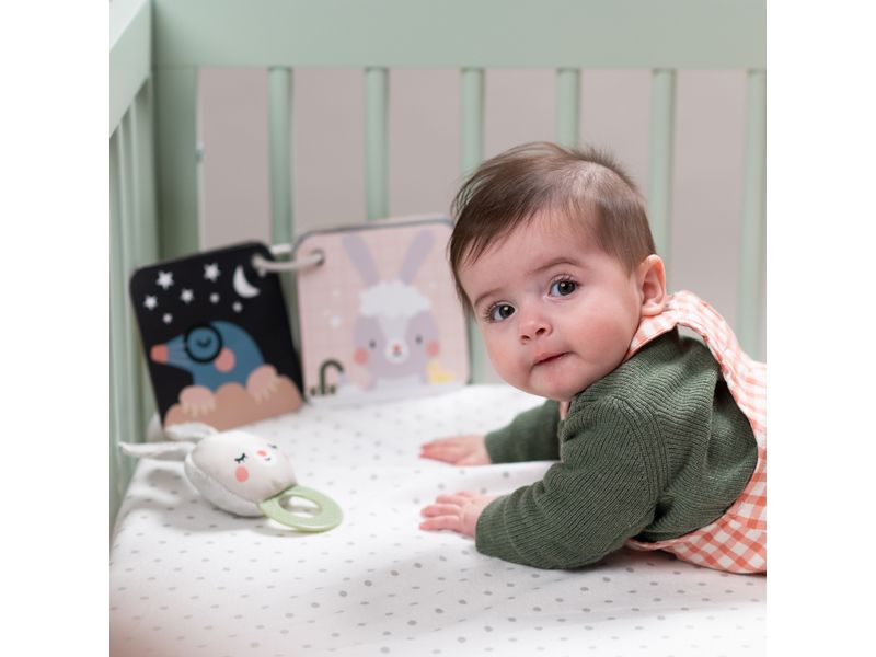 TAF-TOYS Geschenkset Hello Baby 0M Die Lösung für eine reibungslosere und angenehmere Schlafenszeitroutine