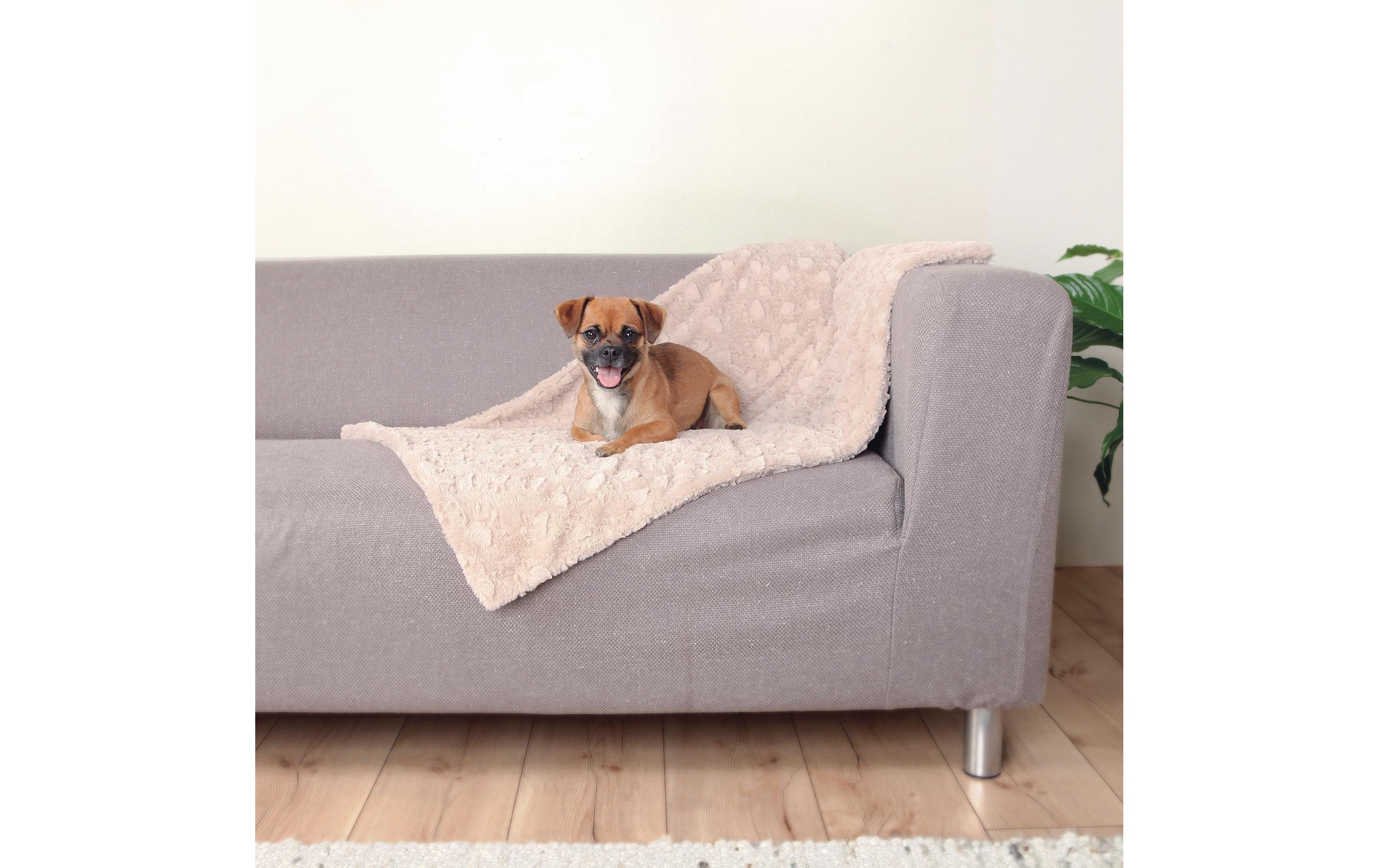Hunde-Decke Cosy 70 x 50 cmWeiche Hundedecke