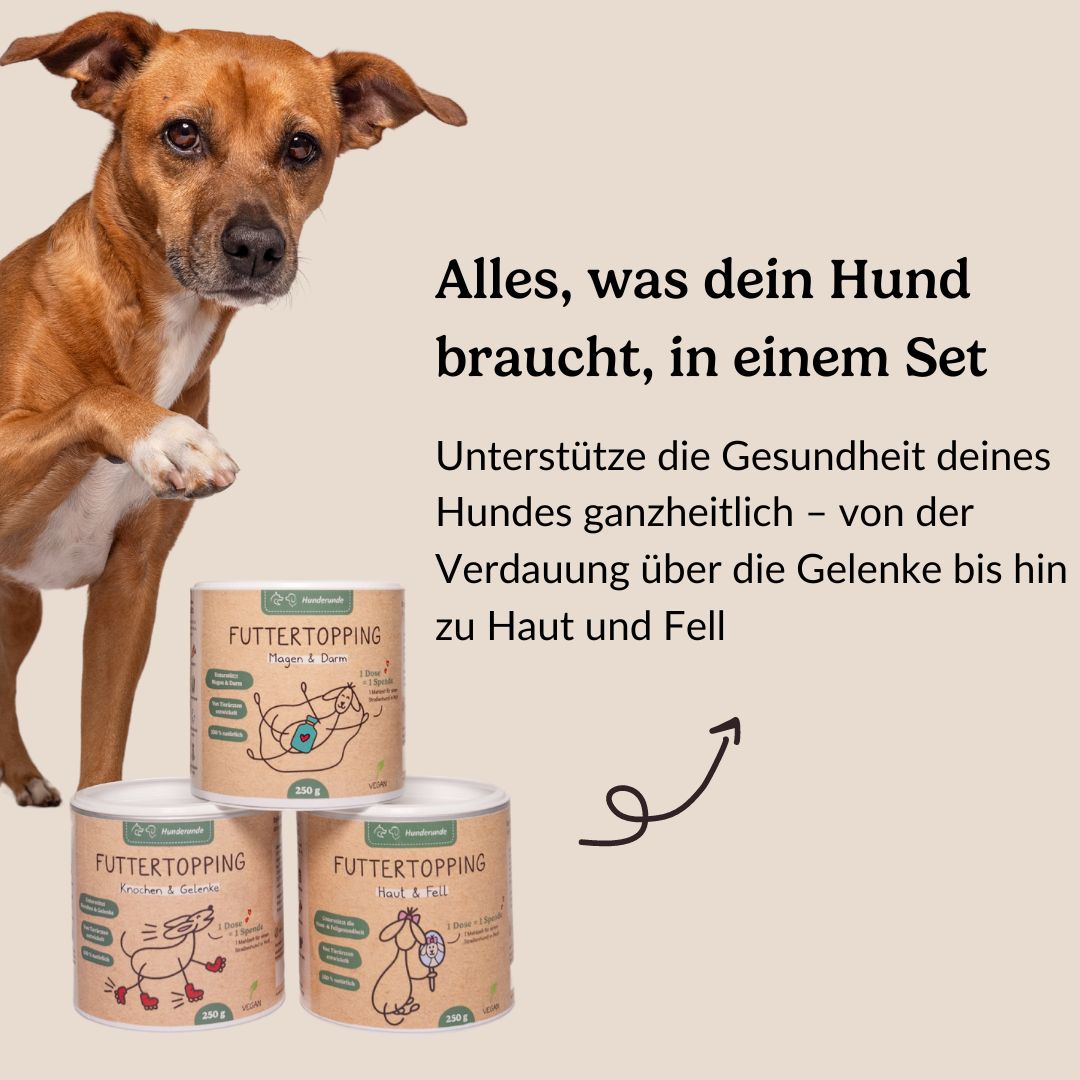 Hunderunde Vitalitäts-Set Haut, Gelenke & Darm