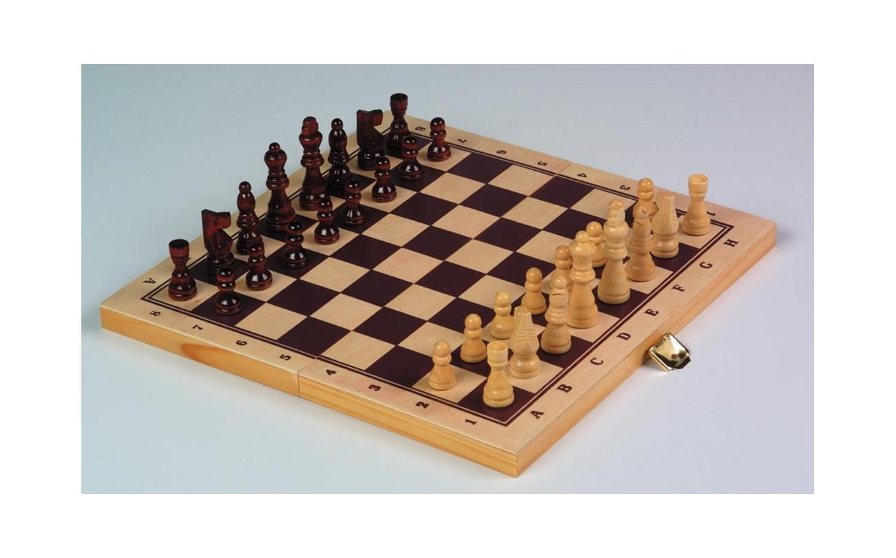 Schaak/Backgammon set