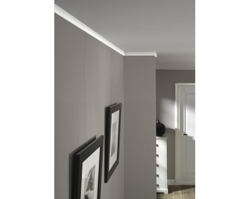 Perlon ophangkoord 2 mm, 150 cm lang, met haken, draagvermogen 15 kg, 2 stuks