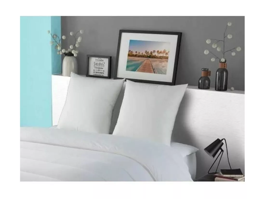 DODO Oreiller LUXOR 60x60 cm - 100% Coton - Effet Duvet