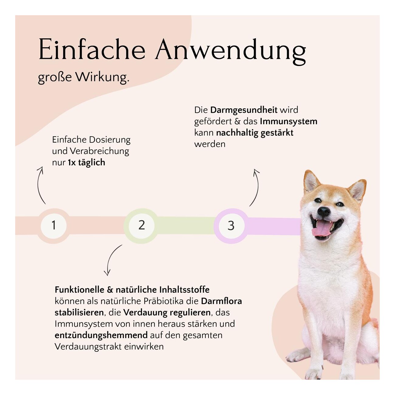 FAVLY Petfood FloraVITAL - Darmaufbau