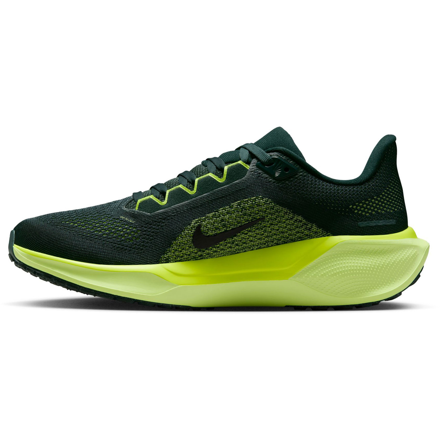 Nike Pegasus 41 Dames