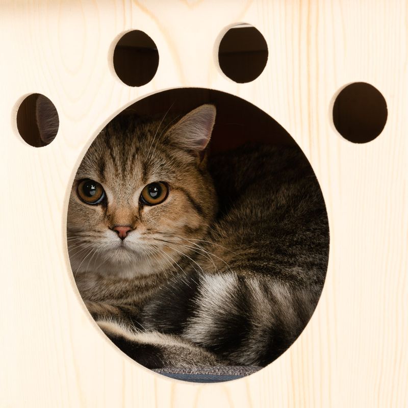 Arbre à chat Modern Living Iona