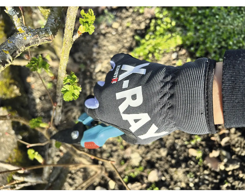KinetiXx Kinderhandschoenen Werkhandschoenen X-Ray Kids Maat S