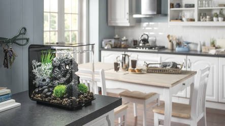 biOrb Flow 15 LED Wit | zoetwateraquarium met led en filter