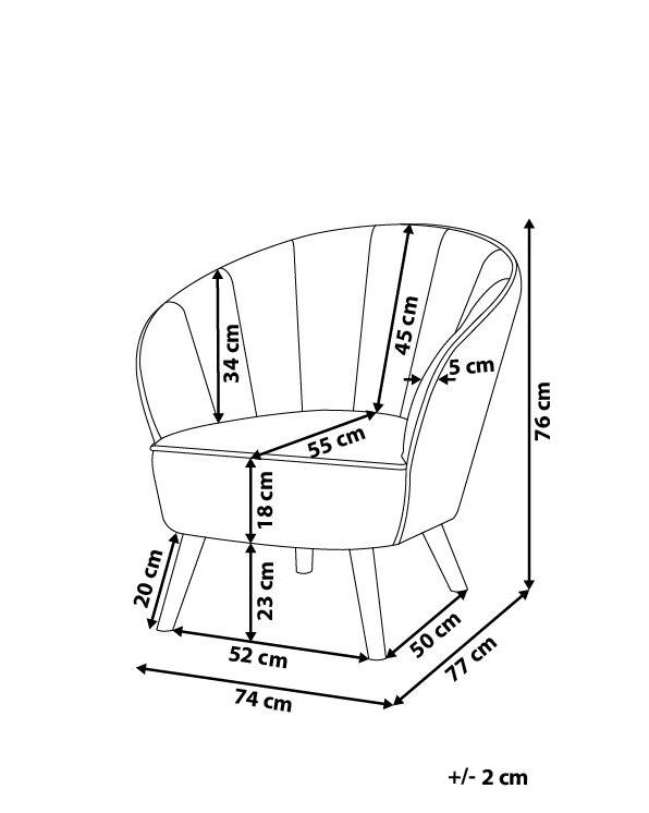 Fauteuil DALA Fluweel Lichtgrijs