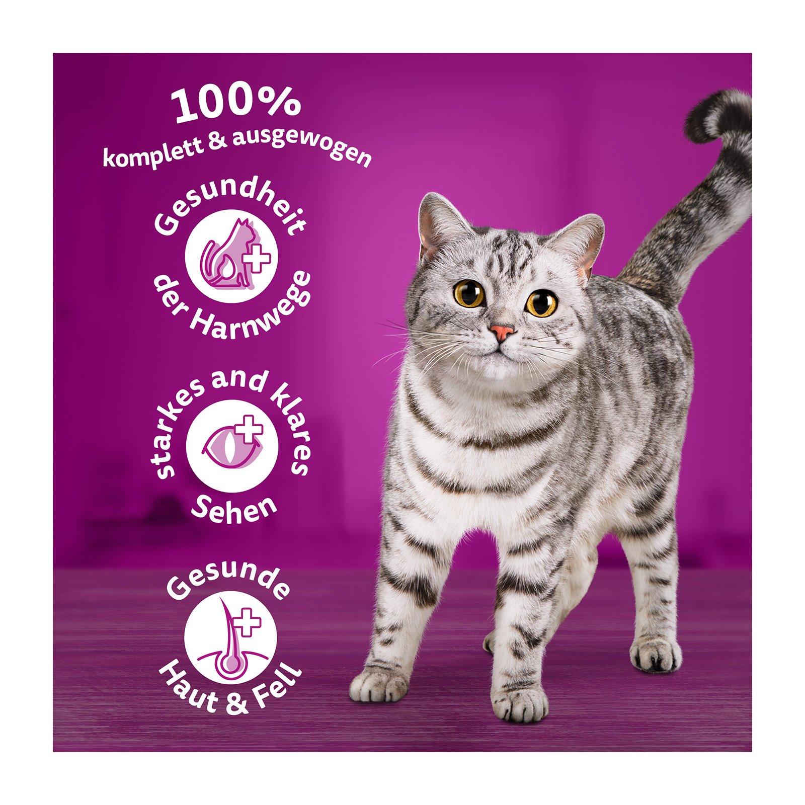 Whiskas Trocken mit Huhn 1+