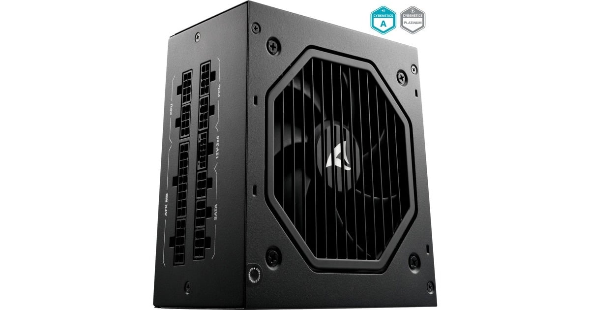 SharkoonRebel P20 modulaire 1000 watt voeding   (Zwart, 1x 12VHPWR, 4x PCIe)