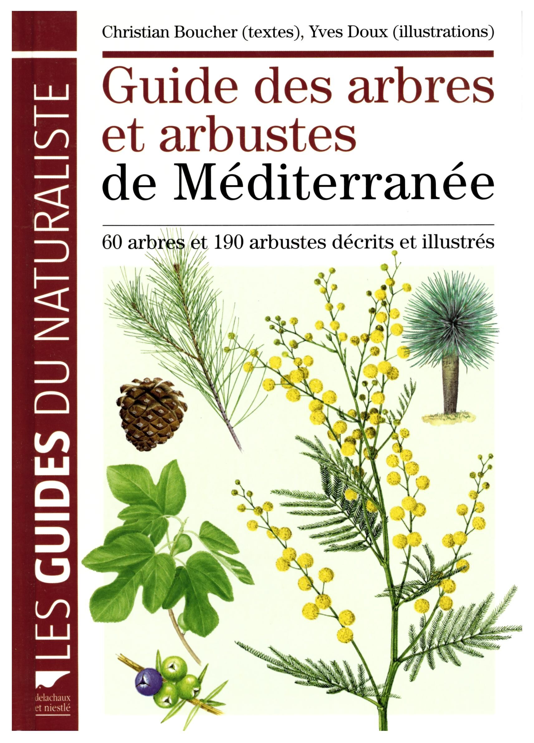 DELACHAUX  NIESTLE - ARBRES ET ARBUSTES DE MEDITERRANEE