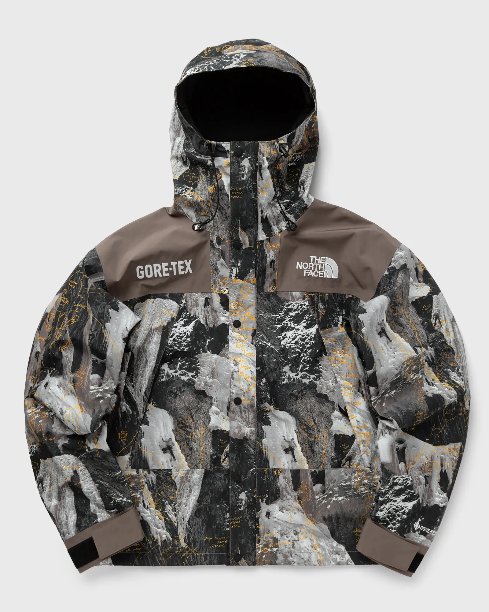 The North Face GTX Mtn Jacket