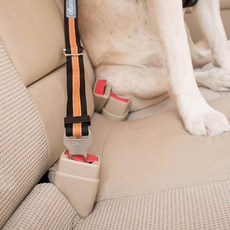 Kurgo Direct To Seatbelt Tether | Oranje-zwart | 11397