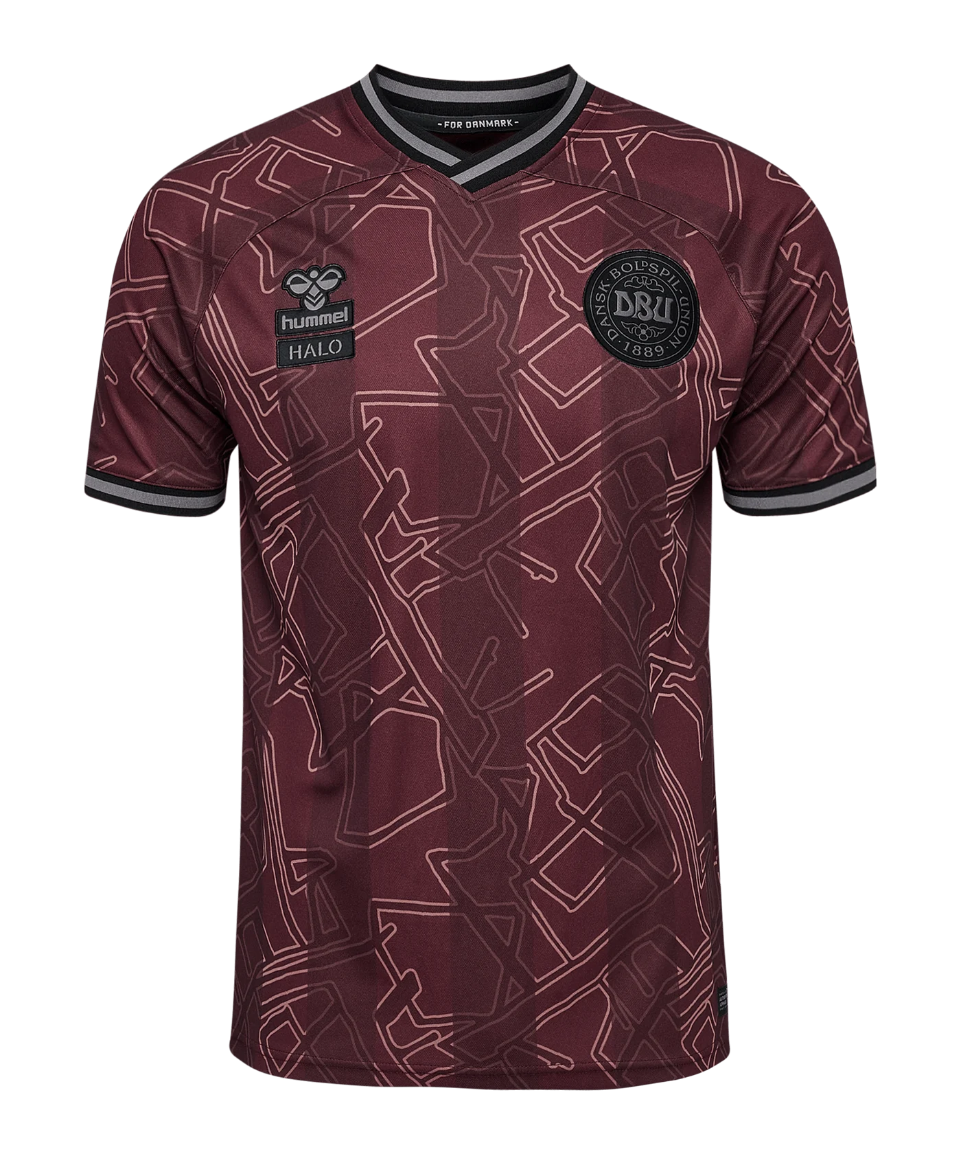 Hummel Dänemark x Halo Trikot 2024 Kids Blau F8186