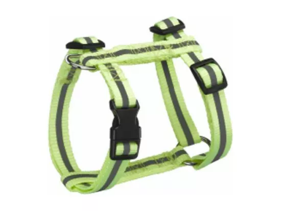Harnais pour Chien 