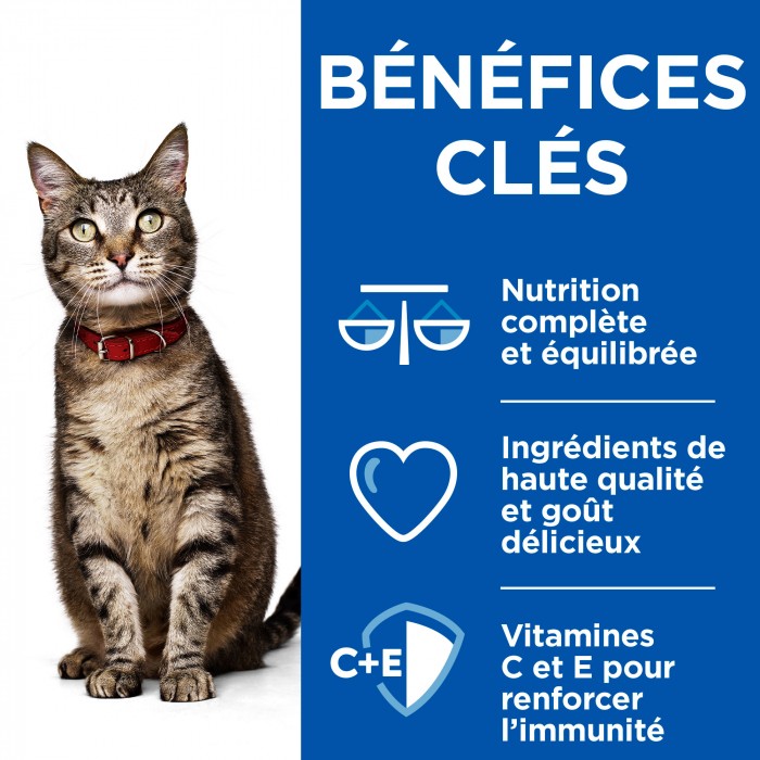 Hill's Science Plan Healthy Cuisine Adult en Mijotés Au Poulet & au Saumon - Pâtée pour chat