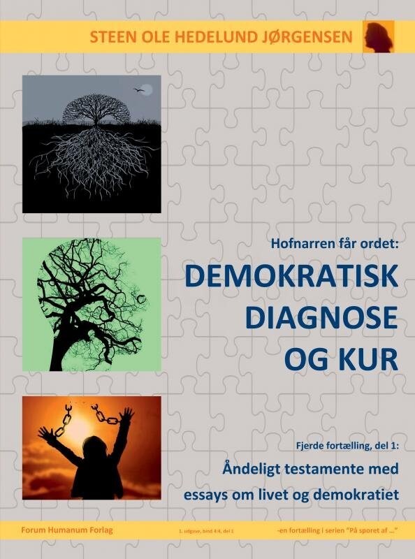 Demokratisk Diagnose - Steen Ole Hedelund Jørgensen - Bog