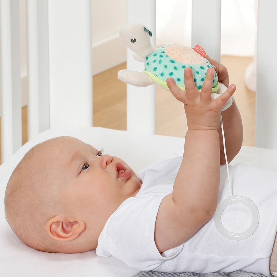 fehn® Mini-Spieluhr Schildkröte