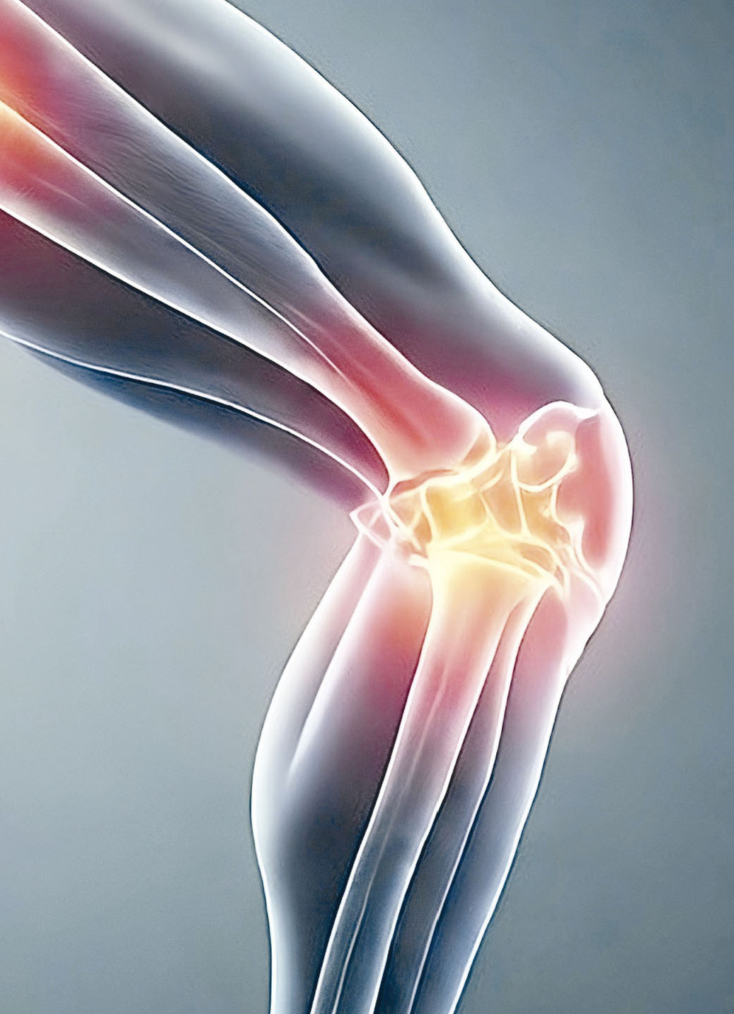 Knie- und Knöchelbandage