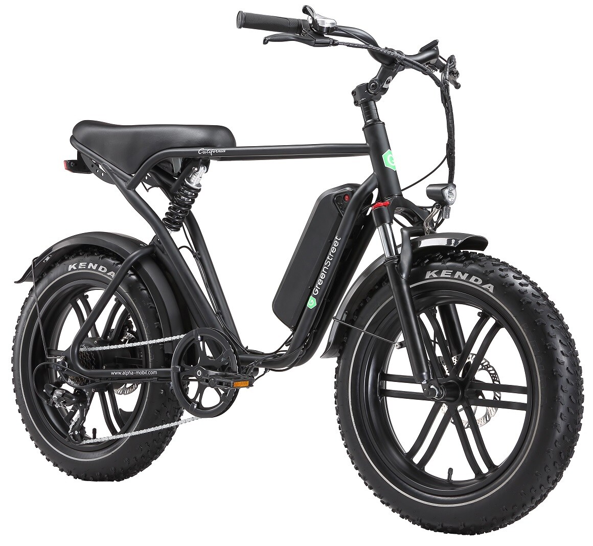 GreenSteet E-Bike Fat Tire California 250 W 20 Zoll schwarz