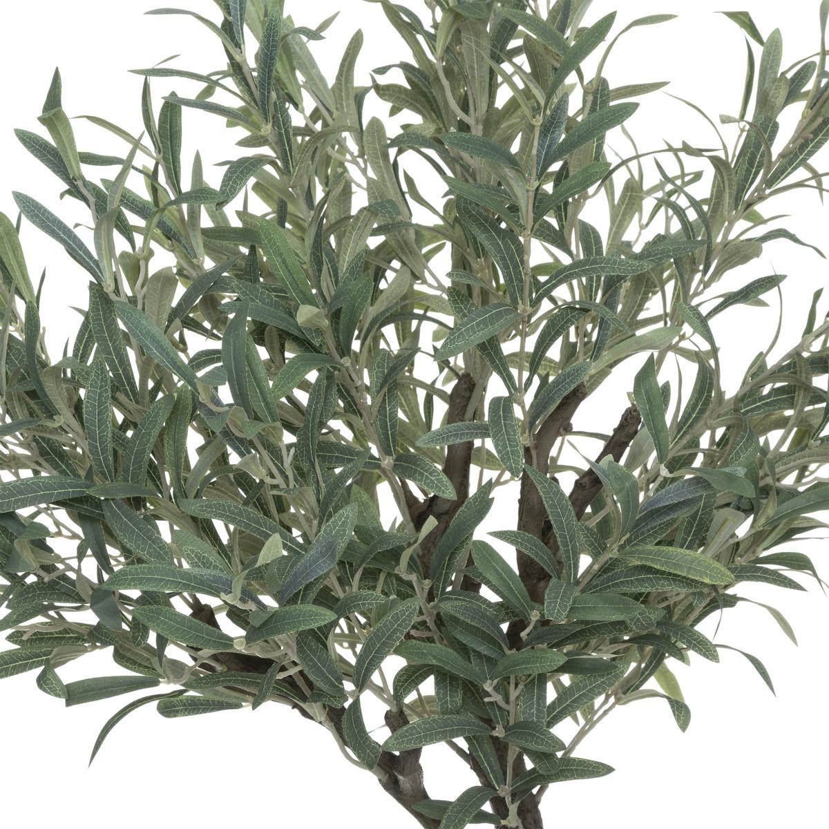 OLIVIER EN POT OLIFU H.140CM