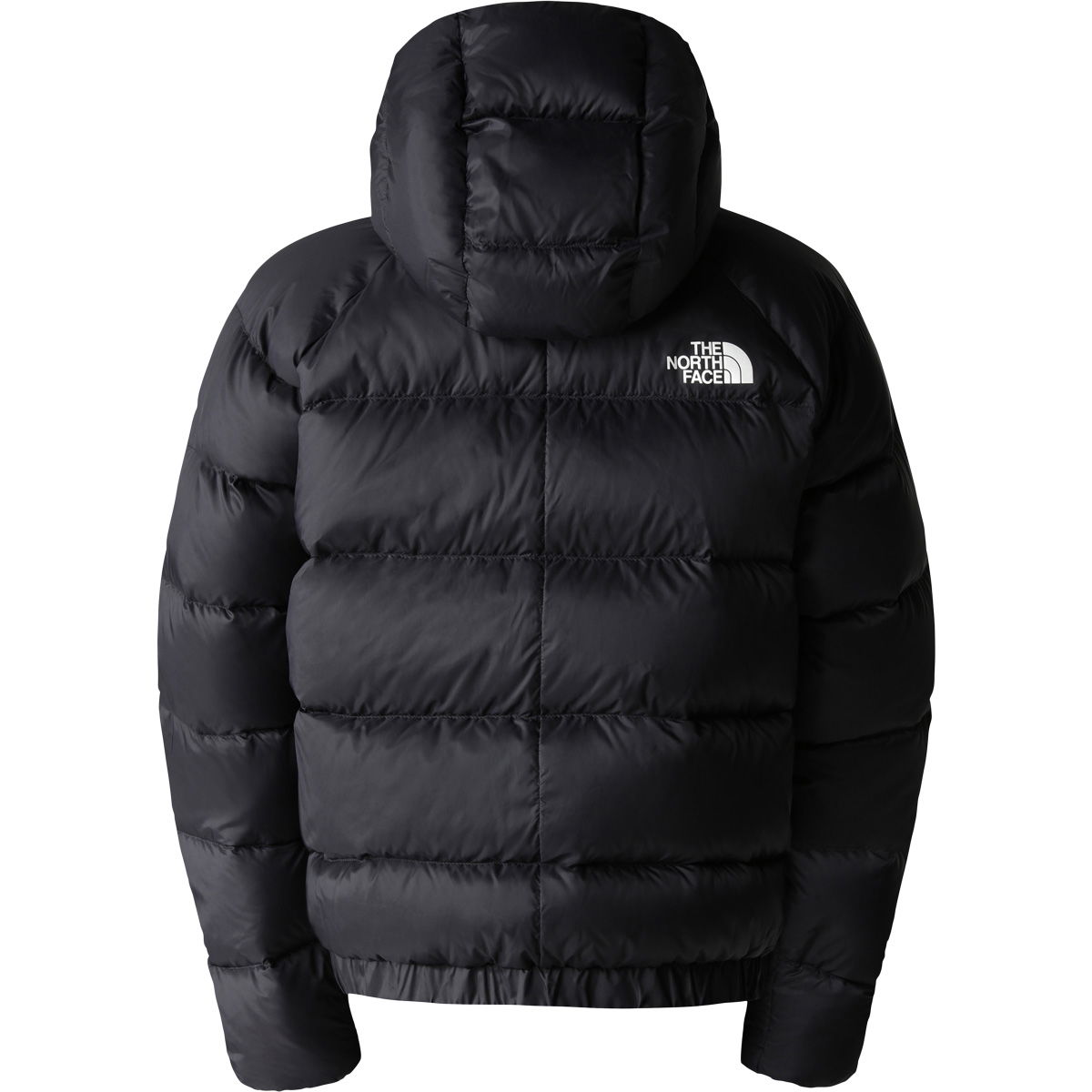 The North Face Hyalite Hood Dunjakke Dame