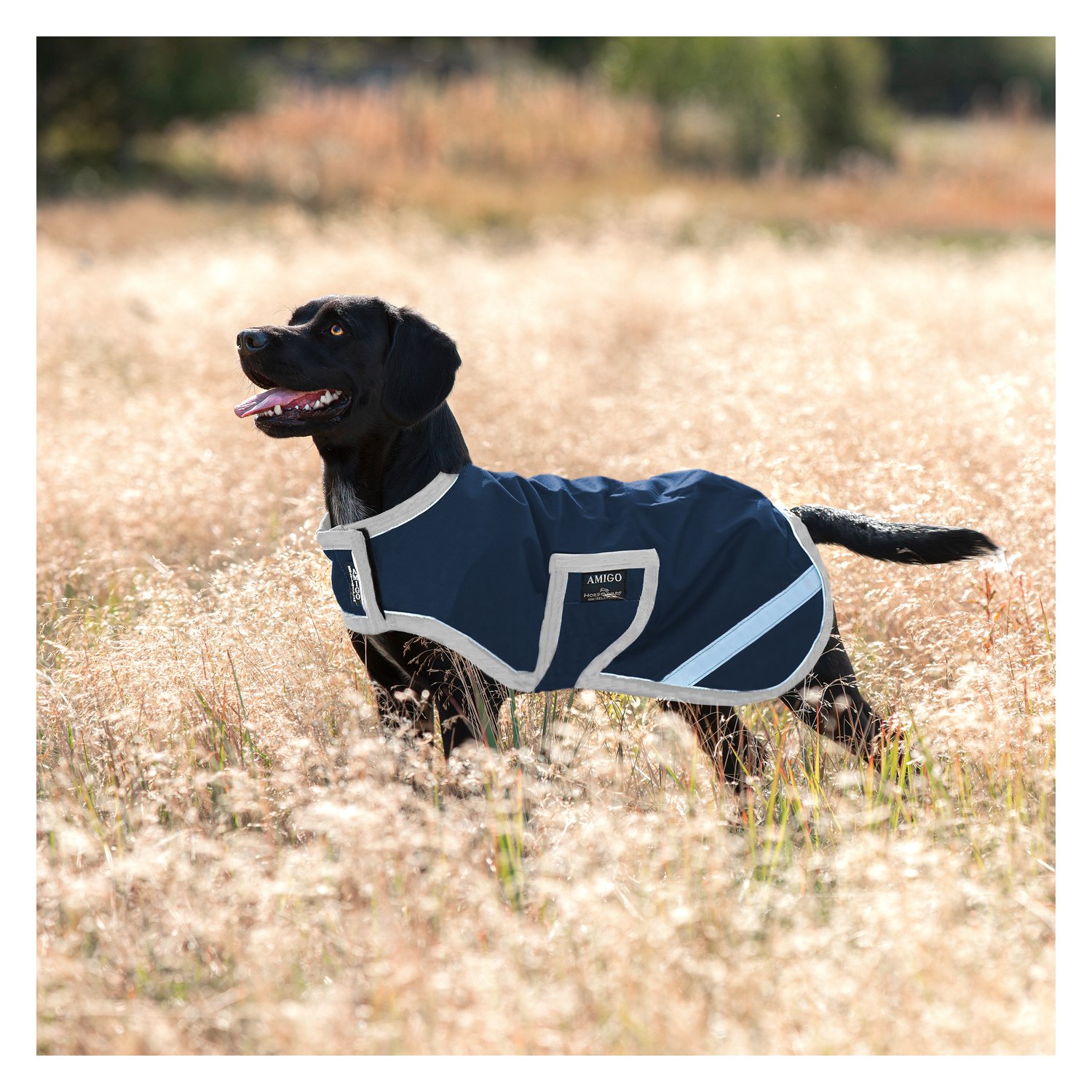 Horseware Hundemantel AMIGO Dog Rug - navy/silver