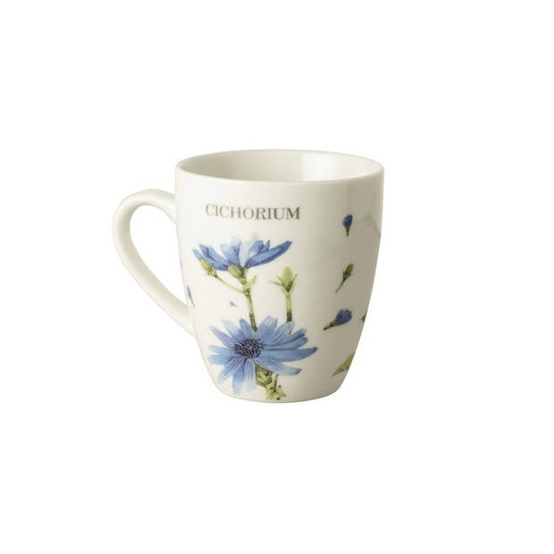 Marjolein Bastin Wildflowers Viola minimok