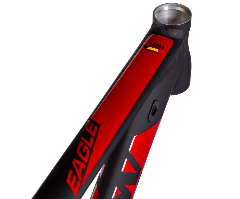 Thompson Eagle 29