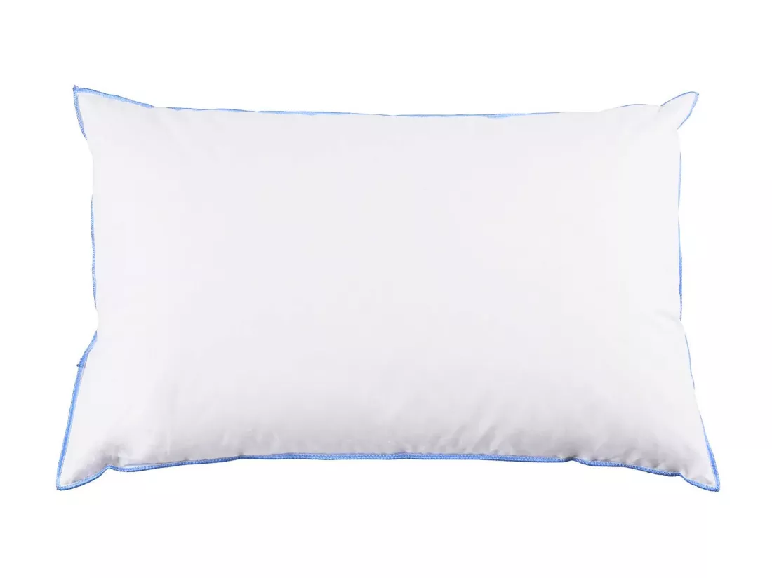 Lot de 2 oreillers moelleux/ferme duvet de canard anti-allergènes Someo 45x70
