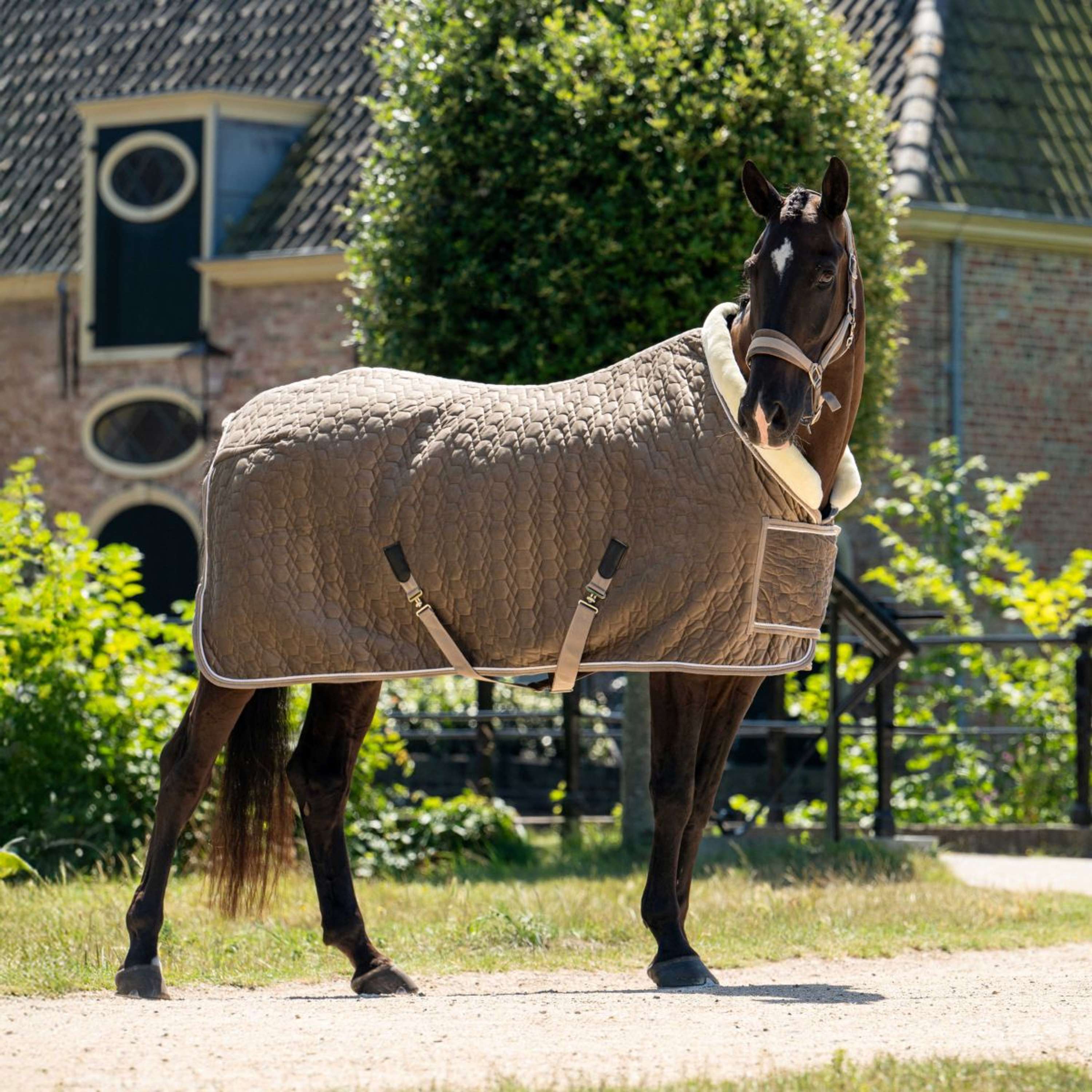 HB Ruitersport Showdeken Special Peach Taupe