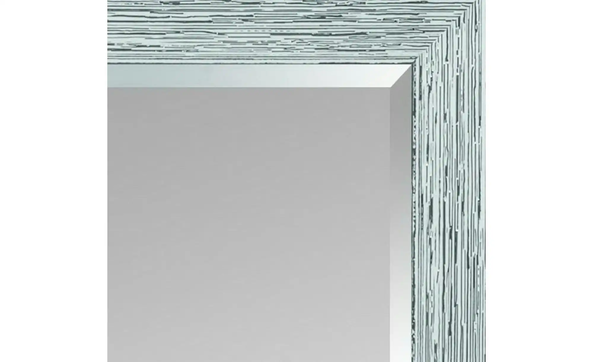 Spiegel 49 x 139 cm