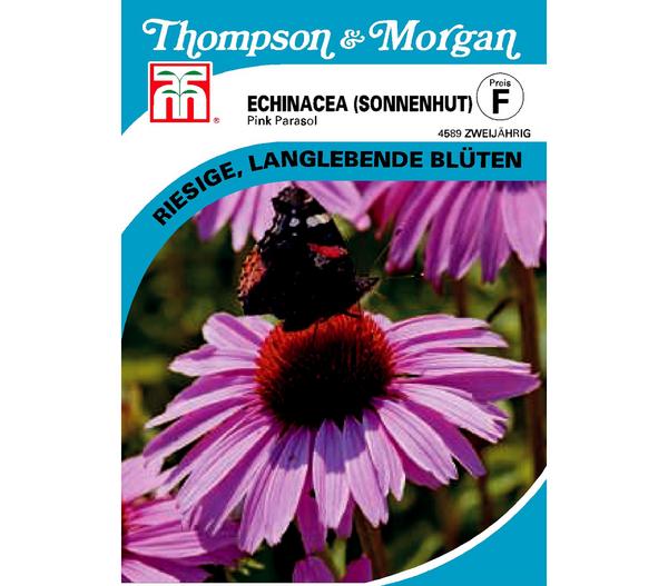 Thompson & Morgan Samen Sonnenhut 'Pink