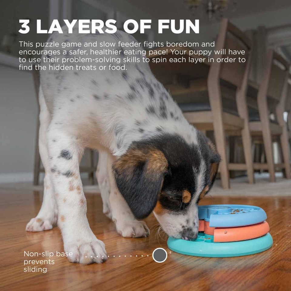 OUTWARD HOUND - Puppy Lickin Layer
