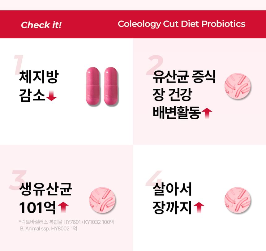 FOODOLOGY - Coleology Cut Diet Probiotica