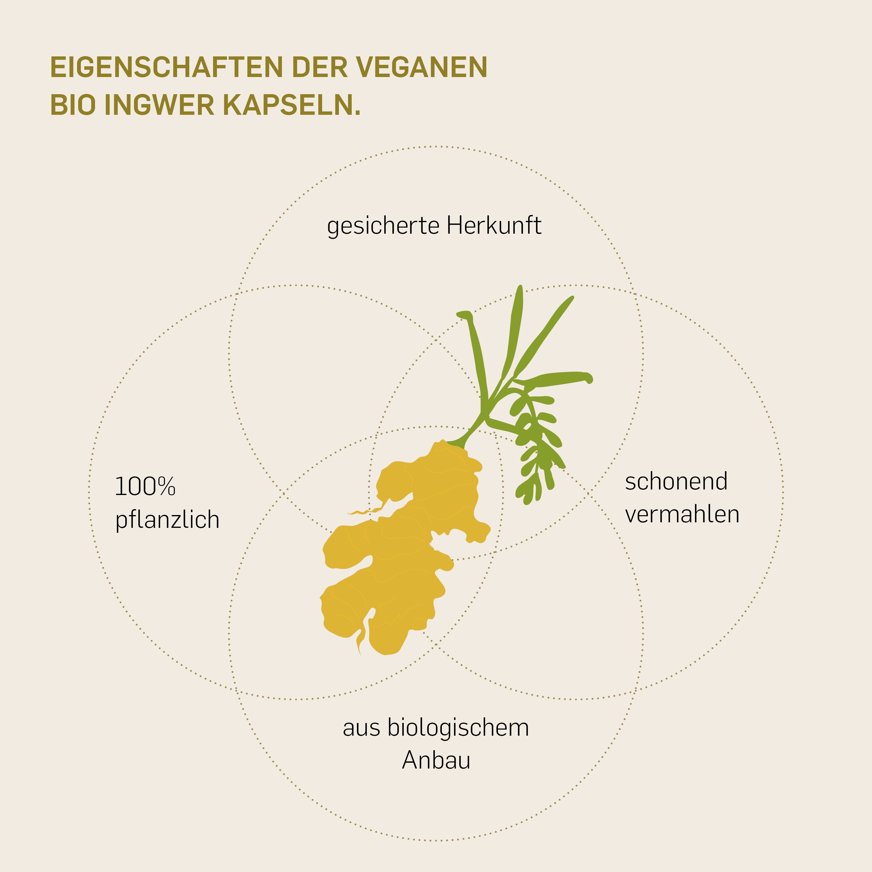 Kurkraft© Bio Ingwer