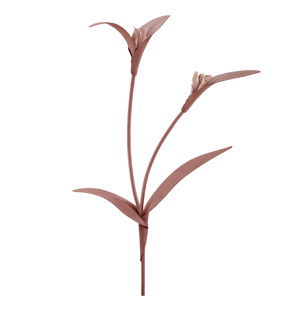 Fleur Touka - Trio Blush Grainé