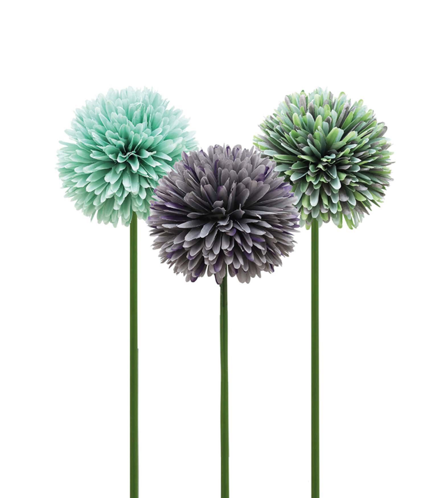 TIGE ALLIUM H.62CM