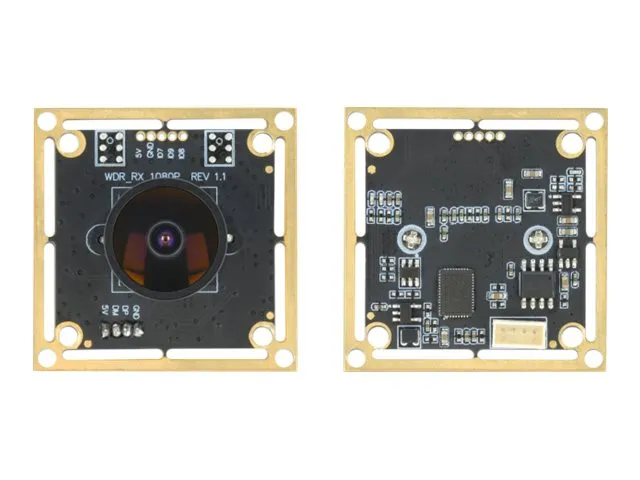 Delock USB 2.0 Camera Module with Wide Dynamic Range - Overvågningskamera - kort - farve - 1920 x 1080 - 1080p - fast brændvidde - USB 2.0 - DC 5 V
