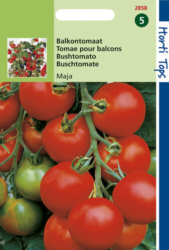 Hortitops Tomaten Solanum lycopersicum L. (syn L. esculentum) Maja -Balkontomaat Amateur Variety - Groentezaden