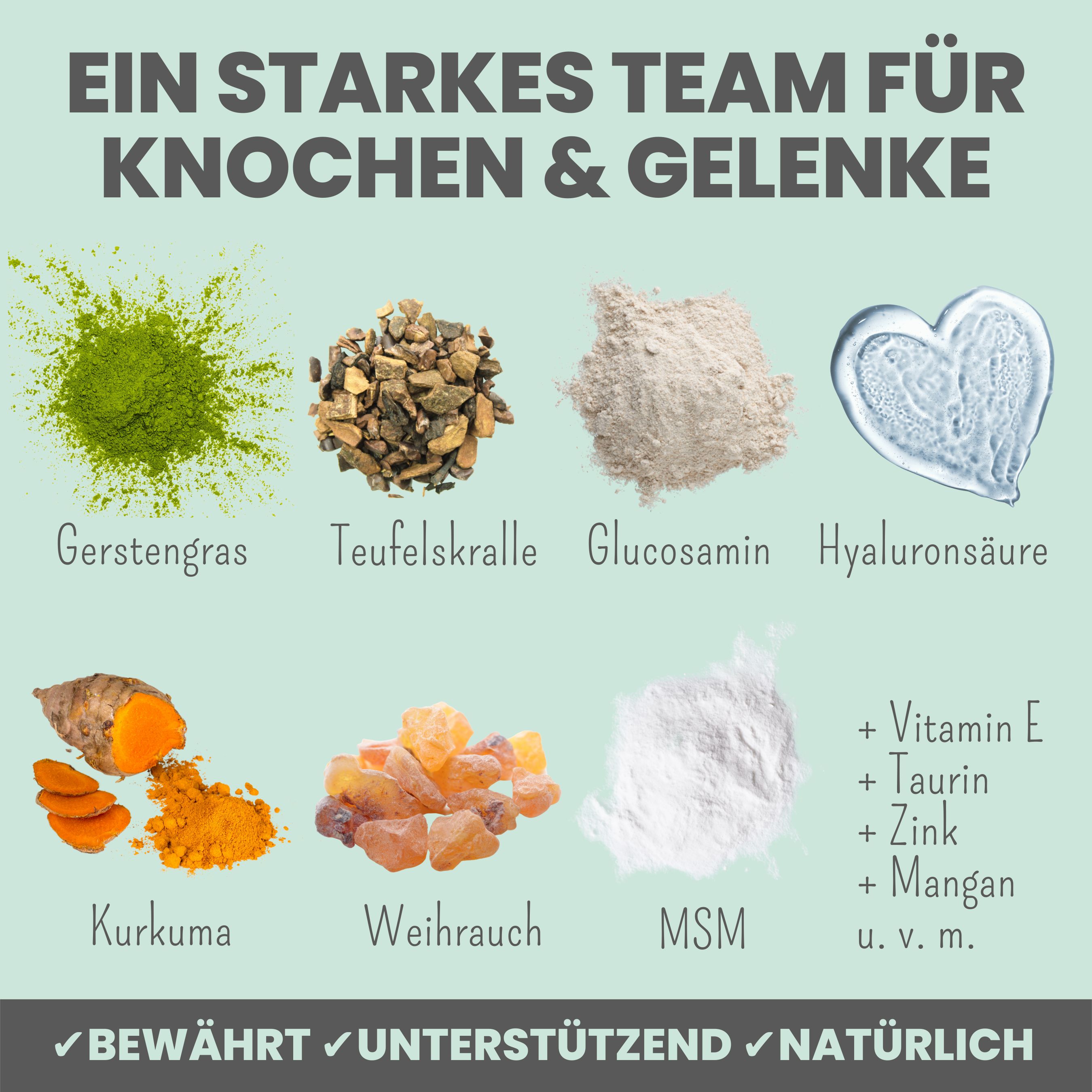 noms+ Gelenkmix für Hunde & Katzen mit Teufelskralle, Kurkuma & Glucosamin