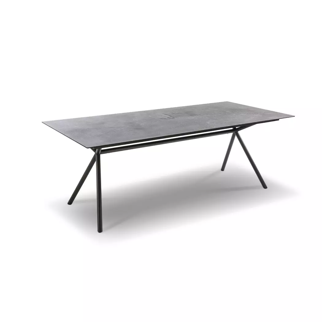 Esstisch Aiven 220 x 99,6 cm
