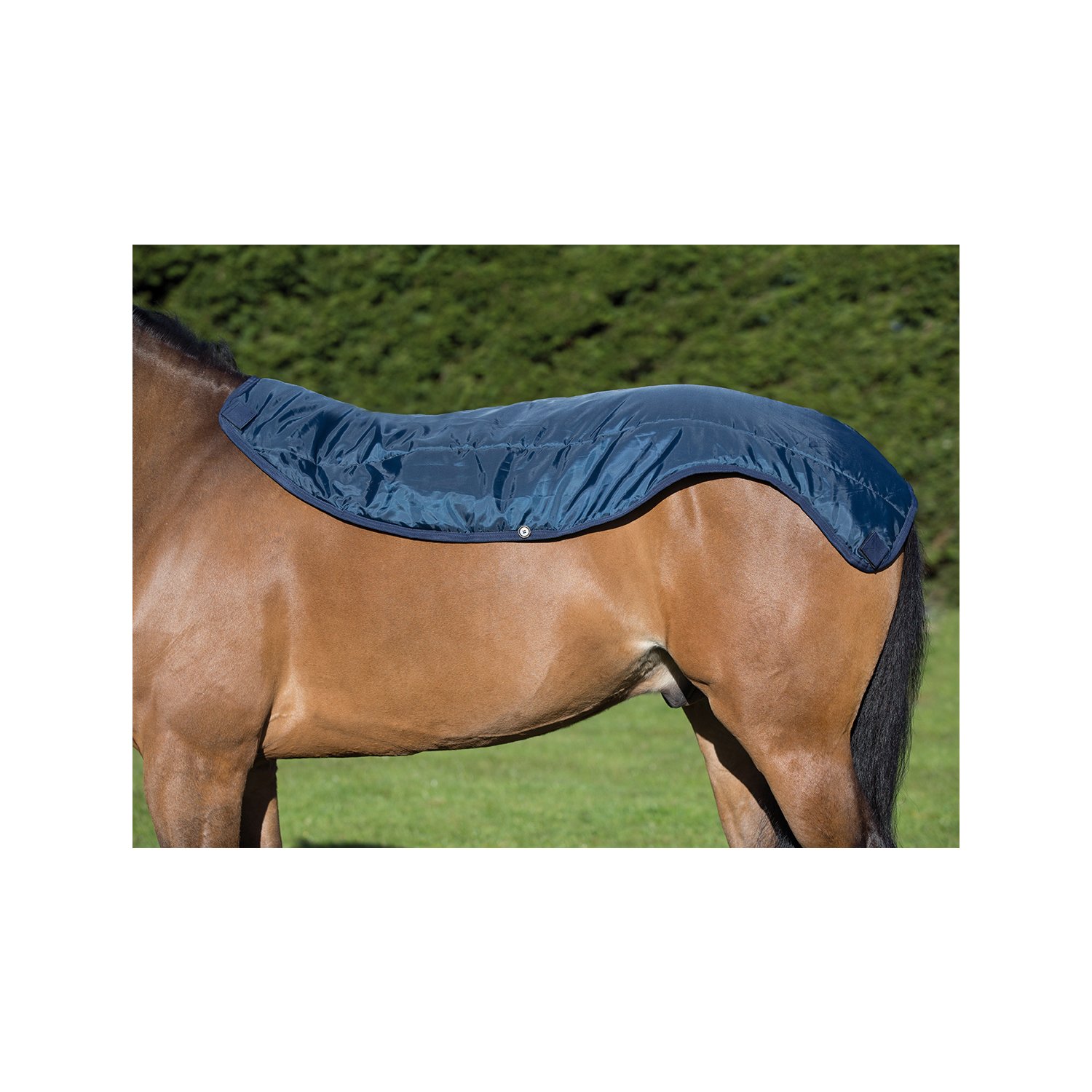 HORSEWARE Übergangsdecke RAMBO Summer Series Turnout -