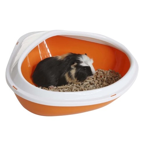 Caixa de areia laranja para animais pequenos