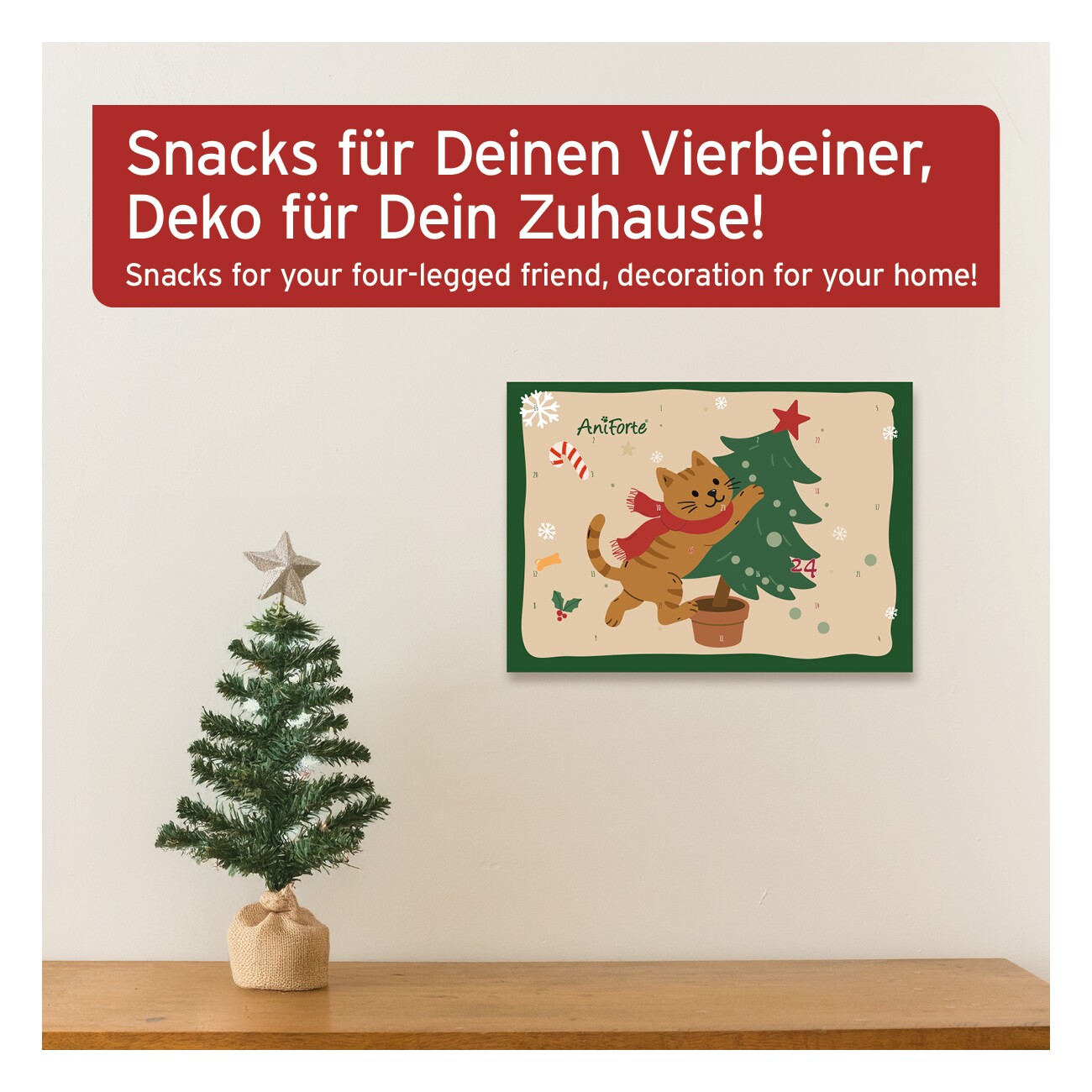 AniForte Adventskalender 2025 für Katzen